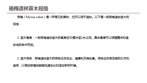 杨梅造林苗木规格