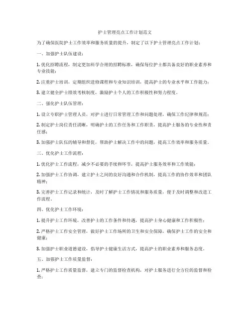护士管理亮点工作计划范文