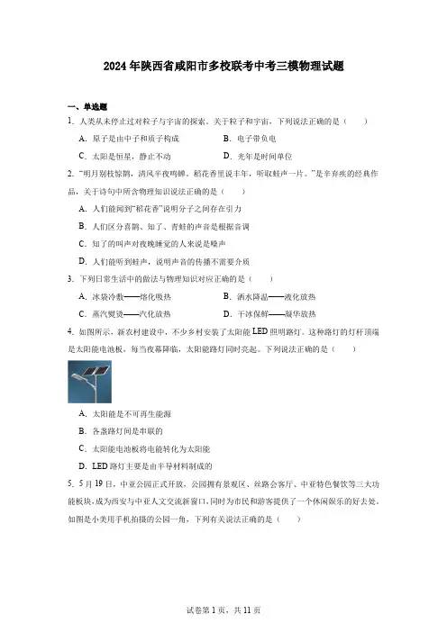 2024年陕西省咸阳市多校联考中考三模物理试题
