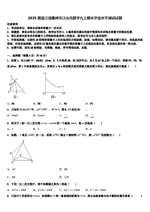 2025届浙江省衢州市江山市数学九上期末学业水平测试试题含解析