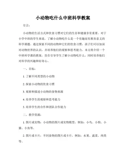 小动物吃什么中班科学教案