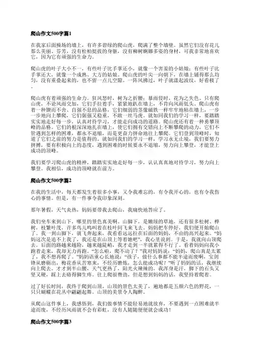 爬山作文500字7篇
