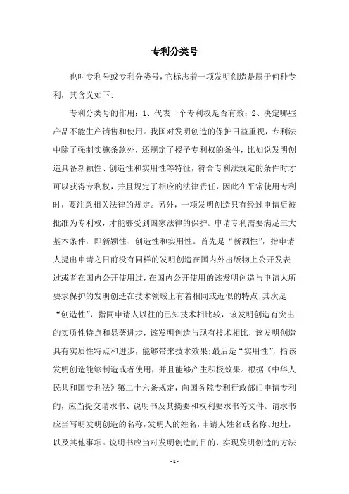 专利分类号