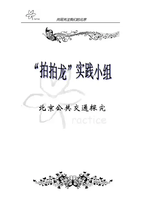北京公共交通研究实践报告