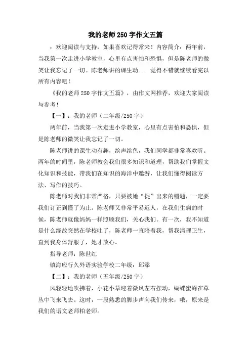 我的老师250字作文五篇