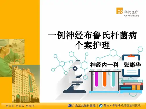 一例布鲁氏菌症患者的护理