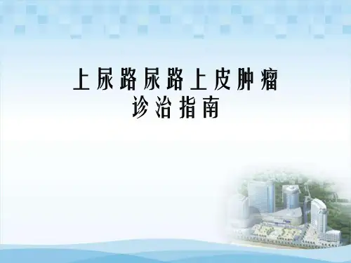 上尿路肿瘤诊治指南