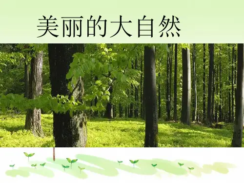 浙教版小学品德与社会二年级下册美丽的大自然PPT课件(3)