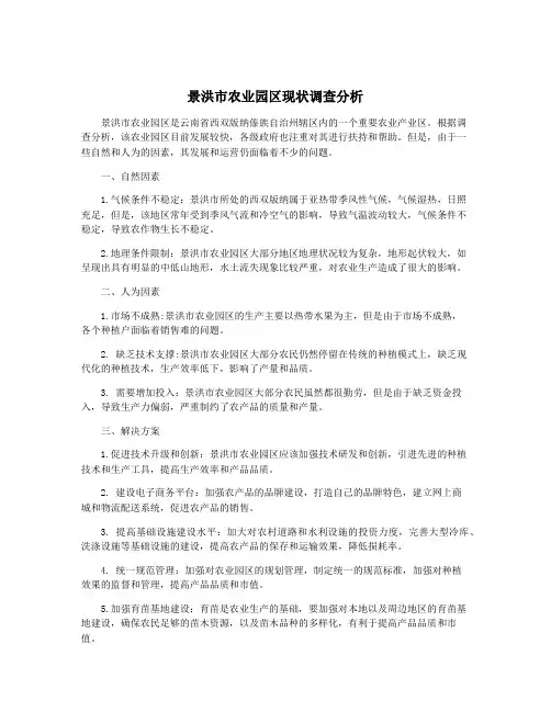 景洪市农业园区现状调查分析