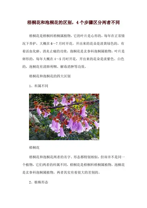 梧桐花和泡桐花的区别,4个步骤区分两者不同