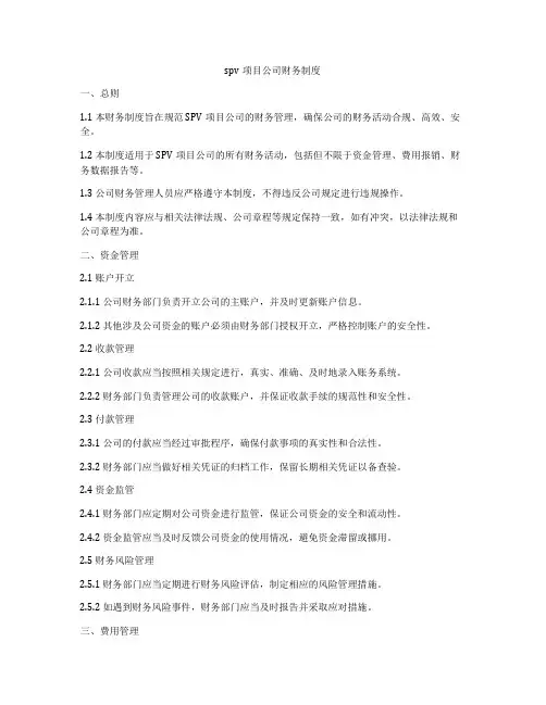 spv项目公司财务制度
