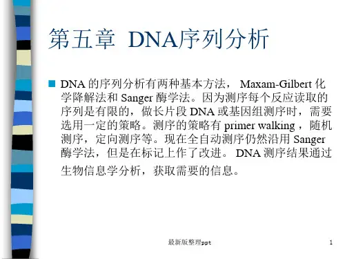DNA序列分析