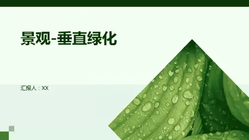 景观-垂直绿化