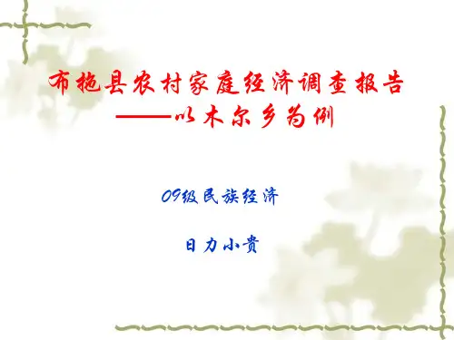 布拖县农村家庭经济调查报告ppt课件