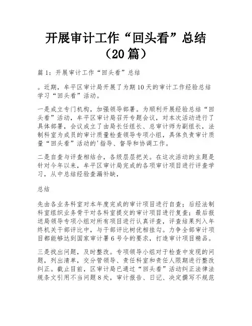 开展审计工作“回头看”总结(20篇)