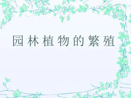 园林植物的繁殖
