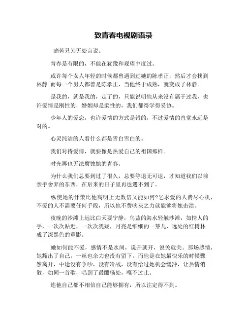 致青春电视剧语录