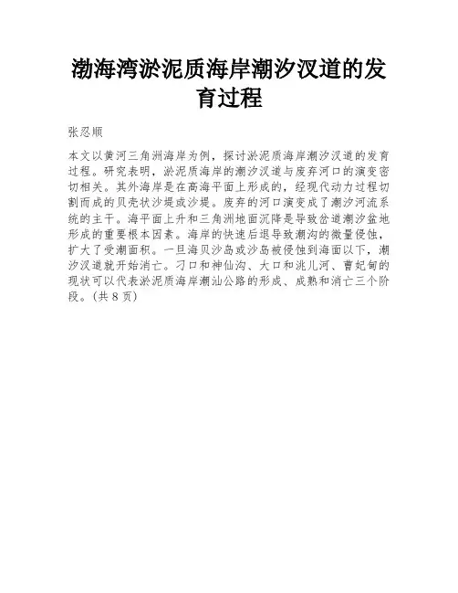 渤海湾淤泥质海岸潮汐汊道的发育过程