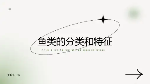 鱼类的分类和特征