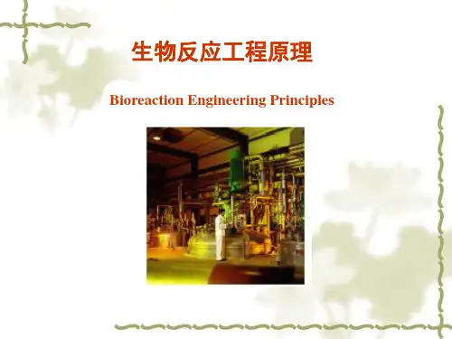 生物反应工程