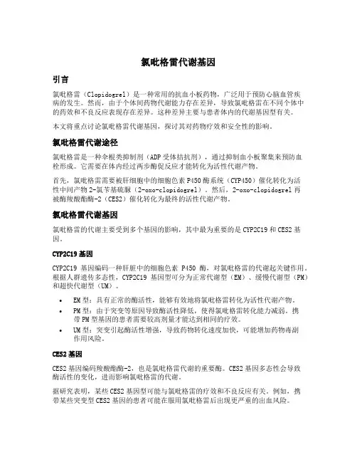 氯吡格雷 代谢基因