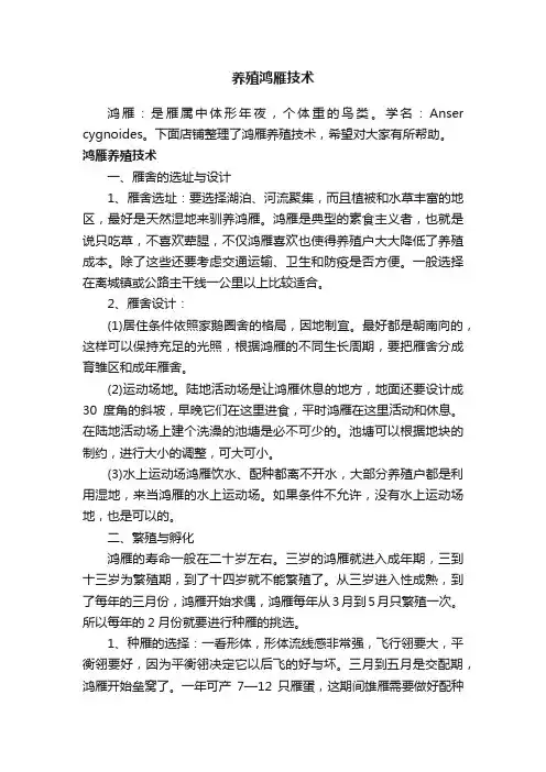 养殖鸿雁技术