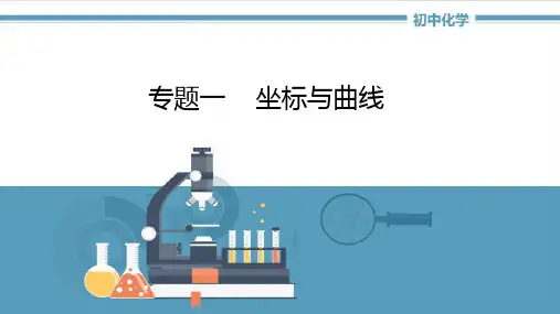 初中化学专题讲解专题1《坐标曲线题》
