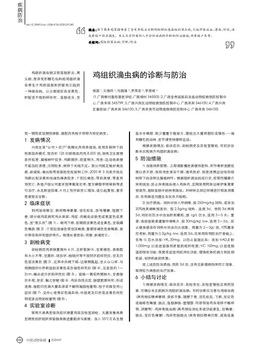 鸡组织滴虫病的诊断与防治