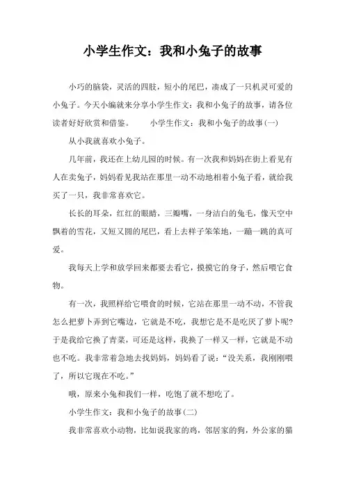 小学生作文：我和小兔子的故事