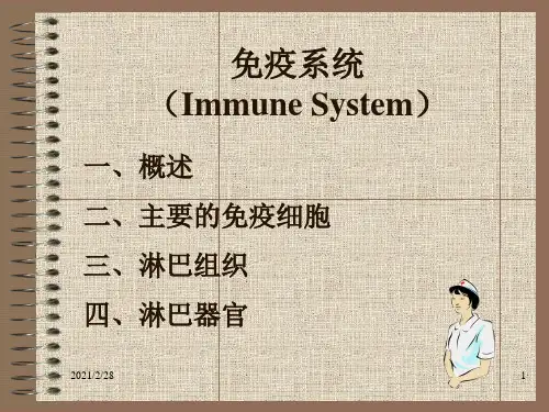 免疫系统2011ppt课件