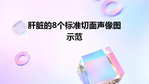 肝脏的8个标准切面声像图示范