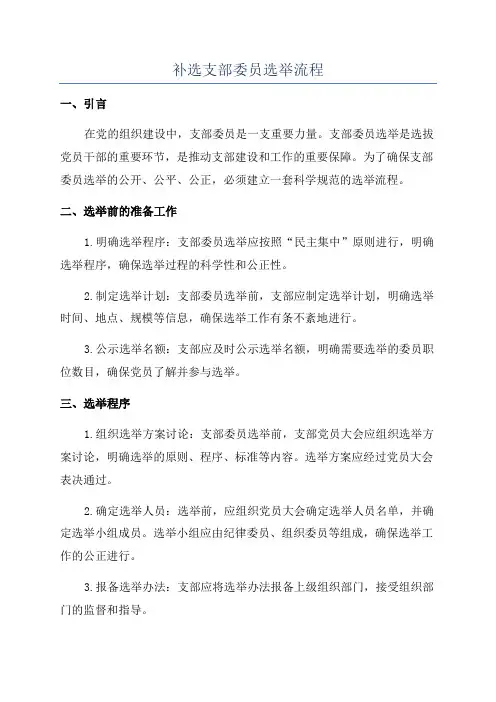 补选支部委员选举流程