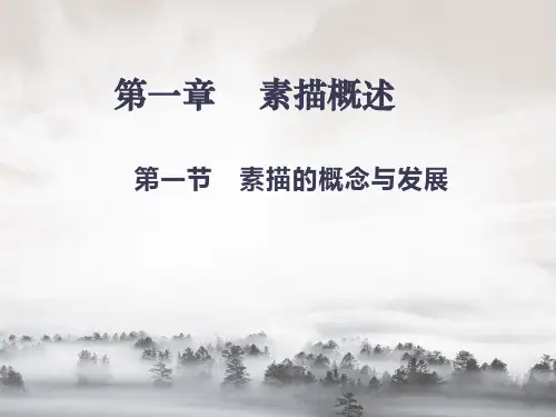素描的概念与发展PPT课件