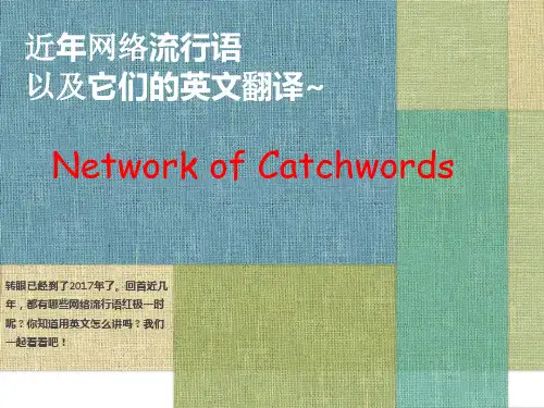 第一次课网络流行语的翻译