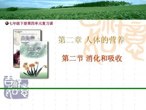 人教版生物 第二章 人体的营养课件
