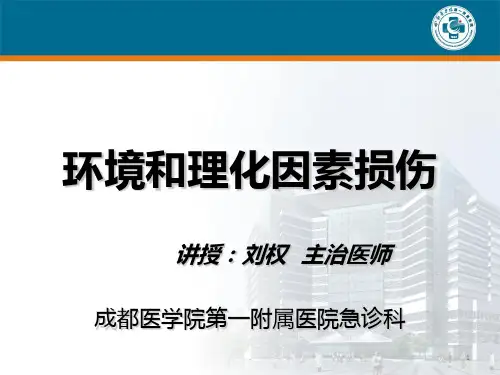 环境和理化因素损伤PPT课件
