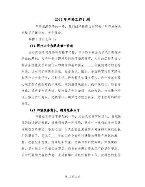 2024年产科工作计划（五篇）