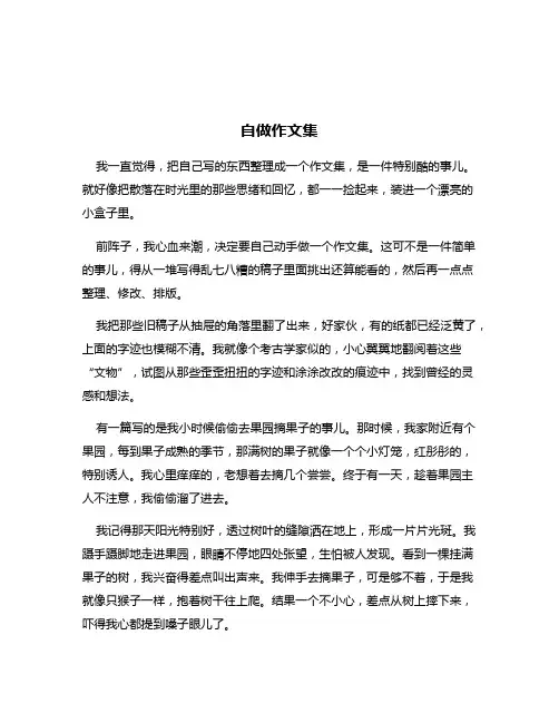 自做作文集