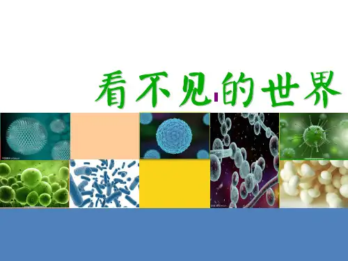看不见的世界微生物科普PPT