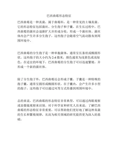 巴西曲霉形态特征