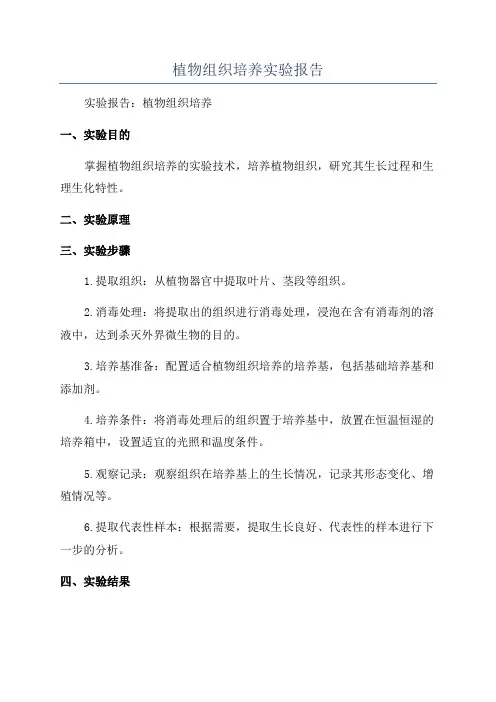 植物组织培养实验报告