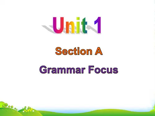 人教版英语(浙江)九年级上册课件：Unit 1 Grammar Focus(共35张PPT)