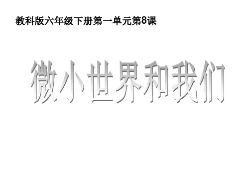 六年级下册科学课件1.8微小世界和我们 教科版(共17张PPT)