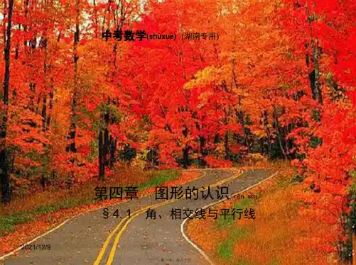 中考数学一轮复习第四章图形的认识4.1角、相交线与平行线(试卷部分)