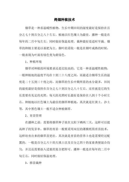 烤烟种植技术
