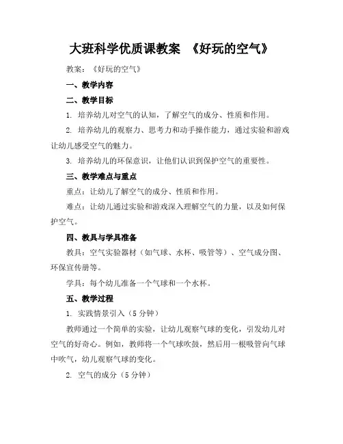 大班科学优质课教案《好玩的空气》