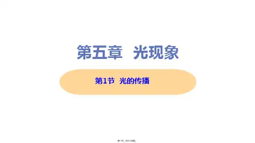新北师大版八年级上册初中物理 第1节 光的传播 教学课件