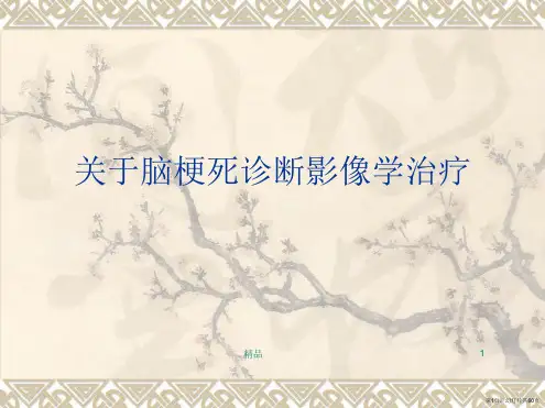 脑梗死诊断影像学治疗课件