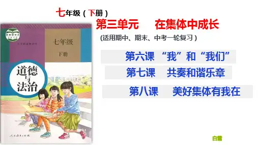 第三单元在集体中成长复习课件部编版道德与法治七年级下册