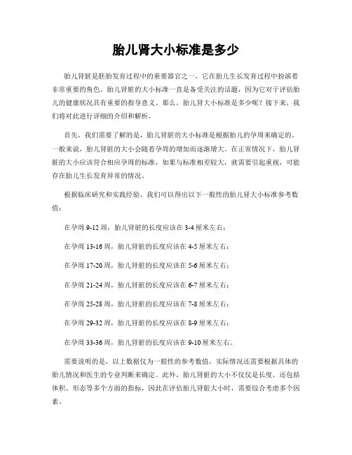 胎儿肾大小标准是多少